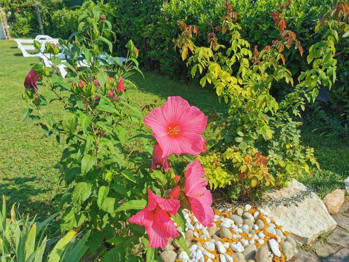 Villa Ruggiero The GalleryPedemonte エクステリア 写真